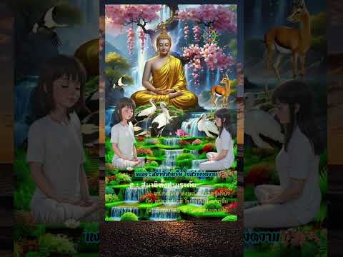 🎶 เพลง สมาธิสามขั้น ใจสว่างงดงาม